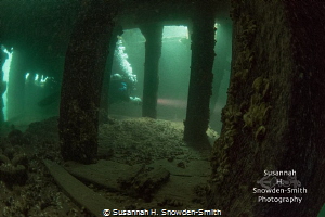 Look closely: A diver penetrates a lower deck of the Will... by Susannah H. Snowden-Smith 